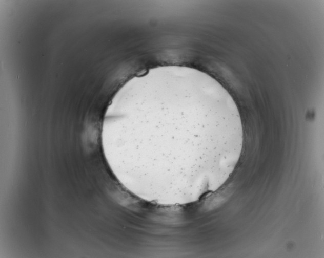 X0000100980576200807221236