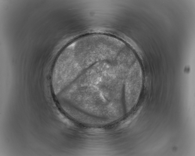 X0000100980577200807221235