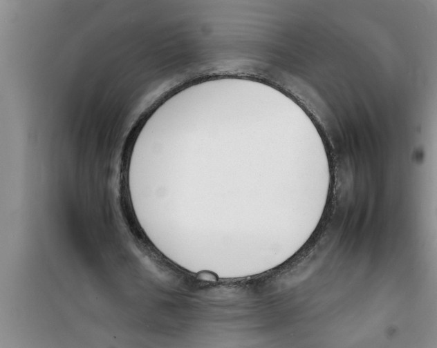 X0000100980578200807221235