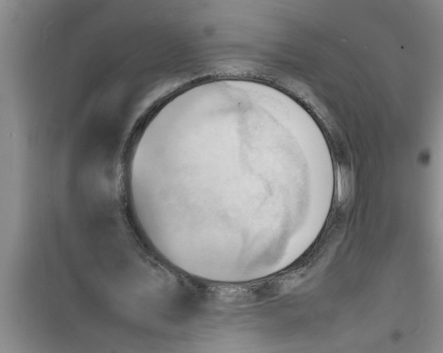 X0000100980579200807221235