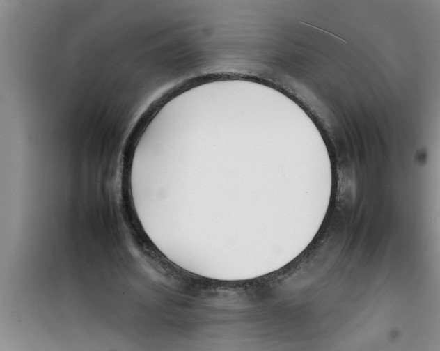 X0000100980580200807221235