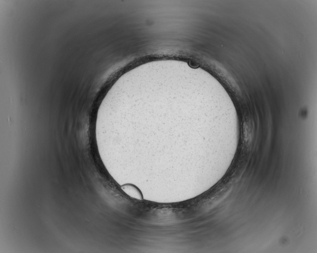 X0000100980588200807221235