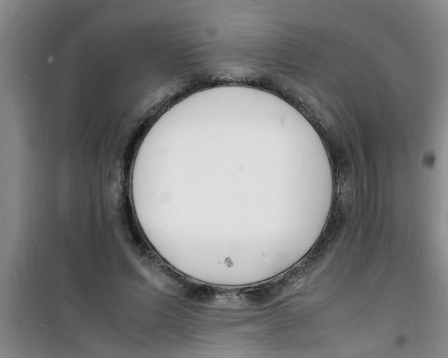 X0000100980591200807221235