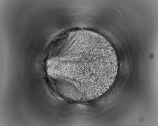 X0000100980592200807221235