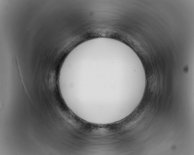 X0000100980594200807221235