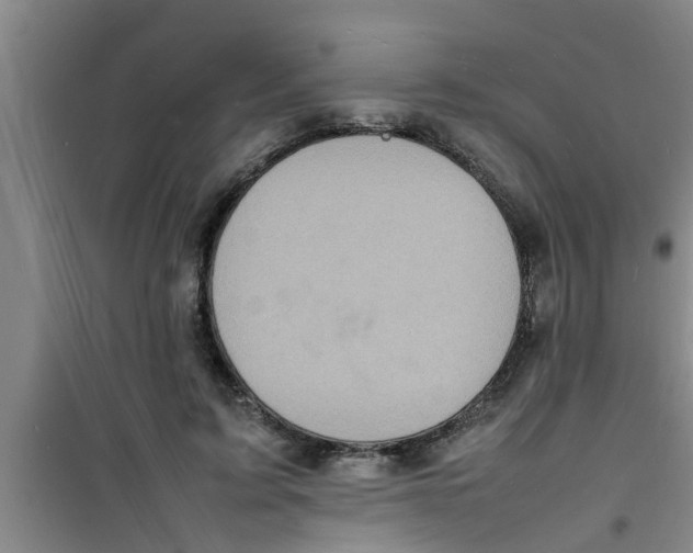 X0000100980595200807221235