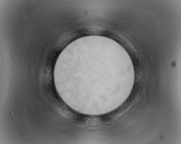 X0000100980599200807221235