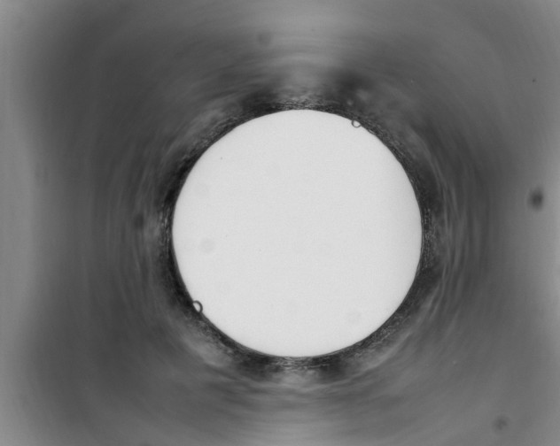 X0000100980601200807221235