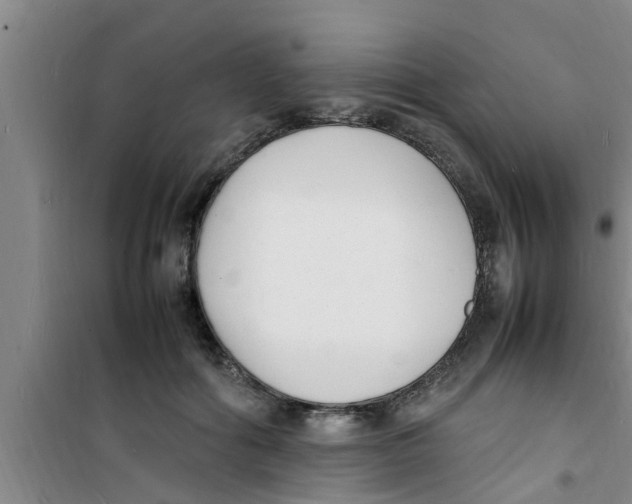 X0000100980602200807221235