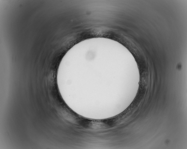 X0000100980605200807221235