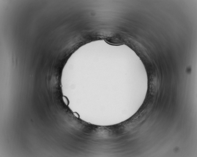 X0000100980608200807221235