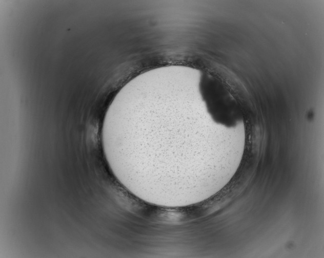 X0000100980610200807221235