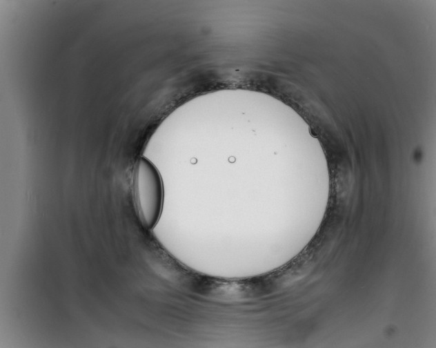 X0000100980611200807221235