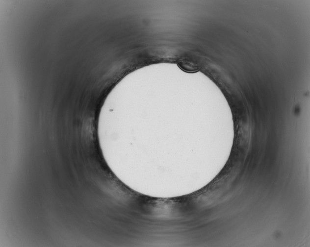 X0000100980612200807221235