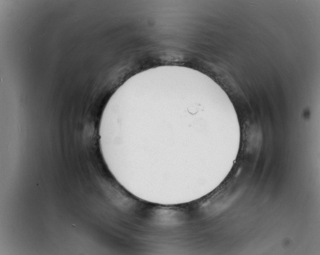 X0000100980614200807221235