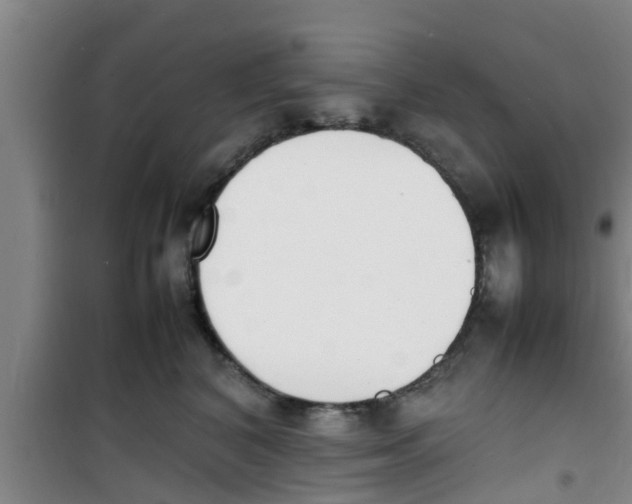 X0000100980616200807221235