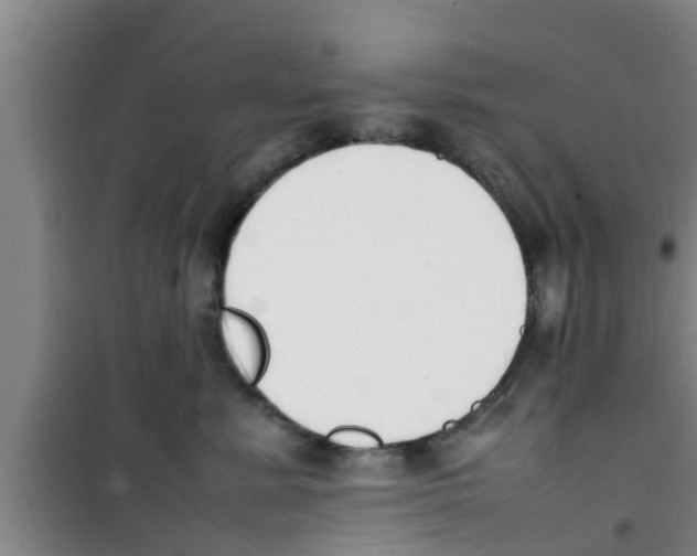 X0000100980619200807221235