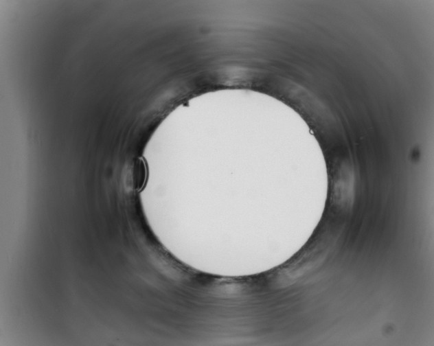 X0000100980620200807221235