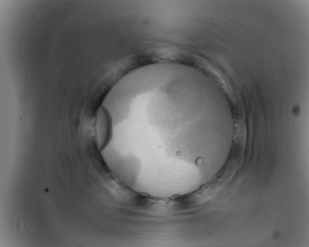 X0000100980621200807221235