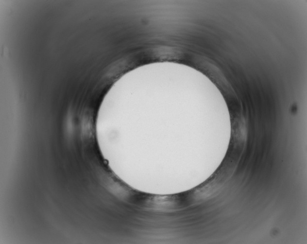 X0000100980622200807221235