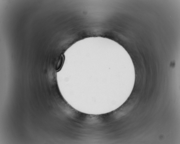 X0000100980624200807221235