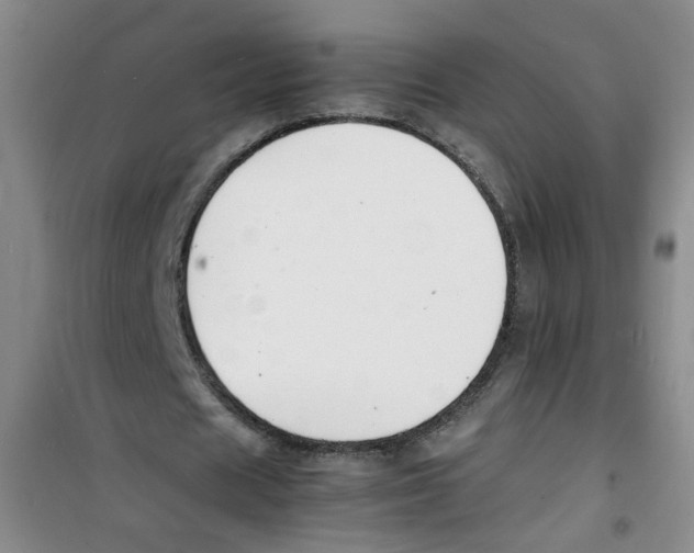 X0000100980625200807221234