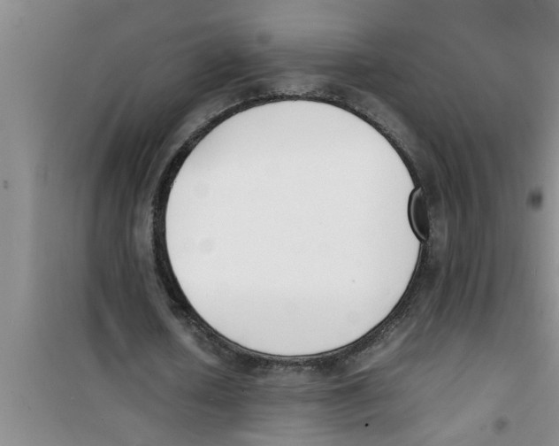 X0000100980626200807221234