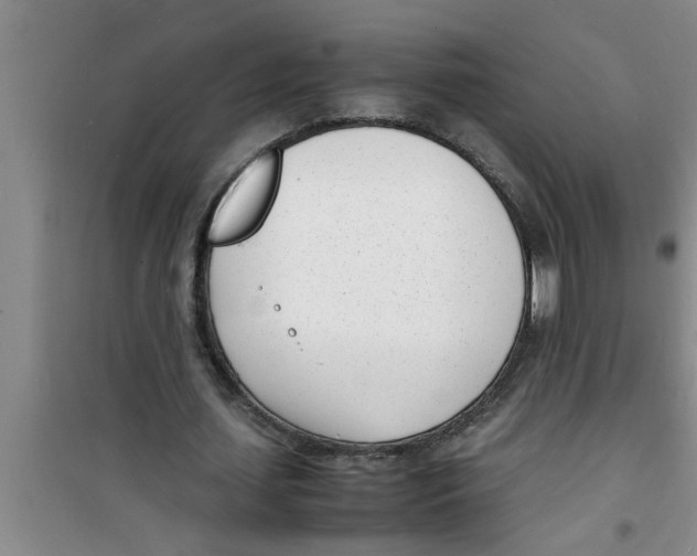 X0000100980627200807221234