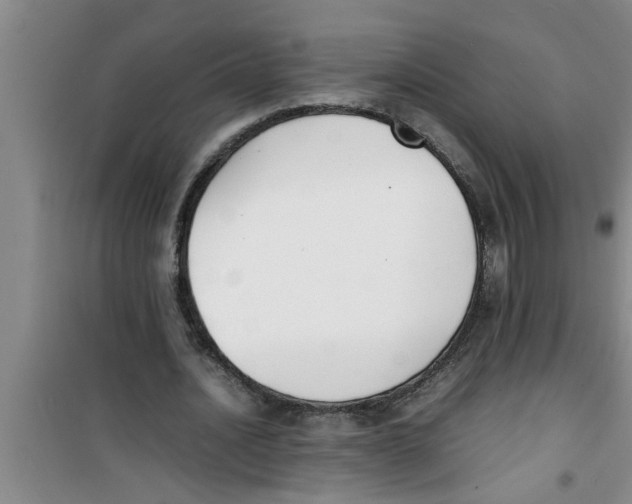 X0000100980628200807221234