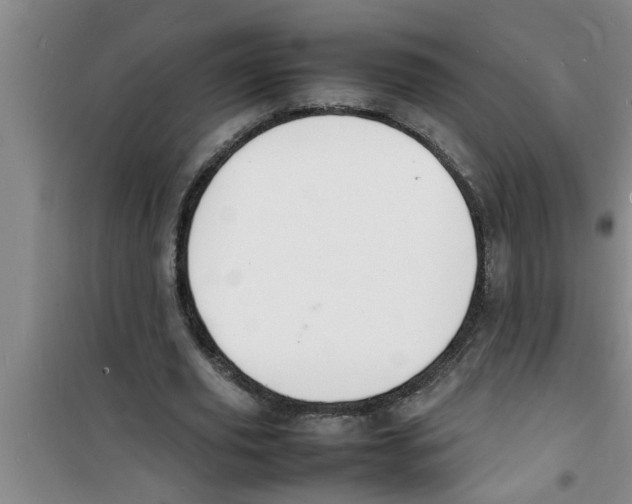 X0000100980629200807221234