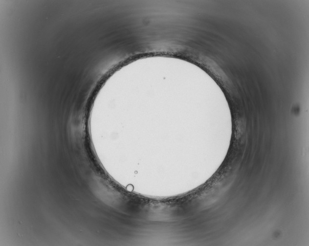 X0000100980632200807221234