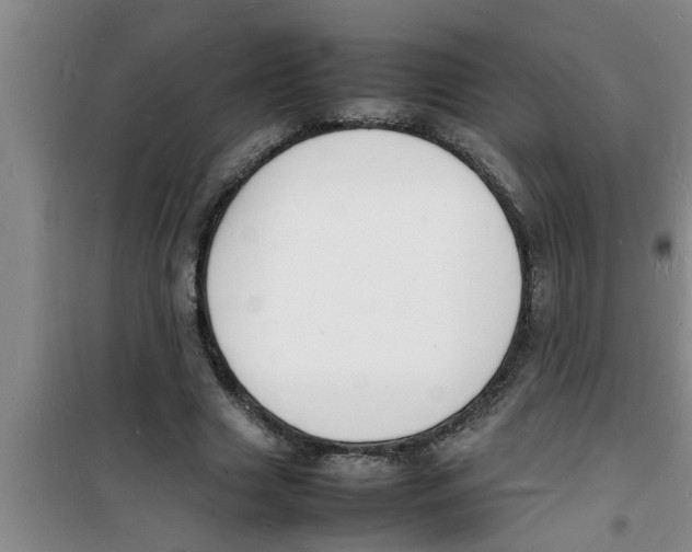 X0000100980633200807221234