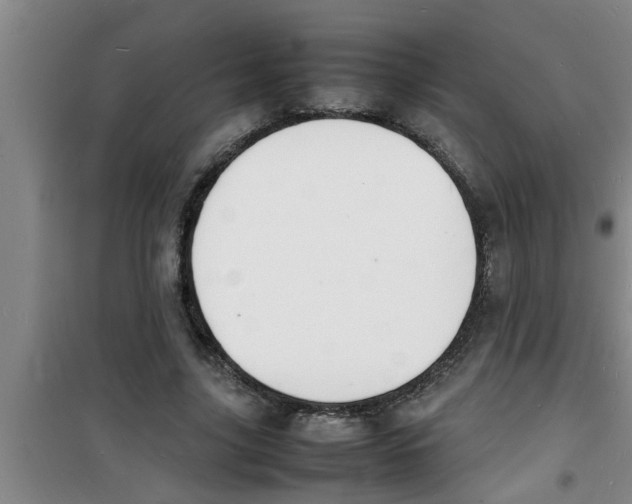 X0000100980635200807221234