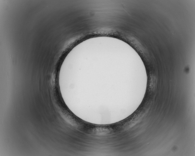 X0000100980636200807221234