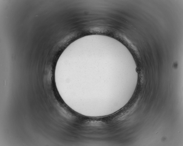 X0000100980637200807221234