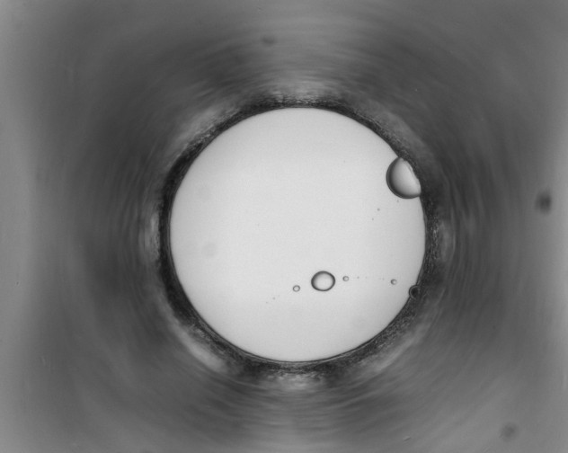 X0000100980638200807221234