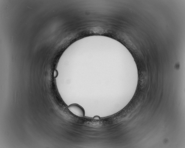 X0000100980639200807221234