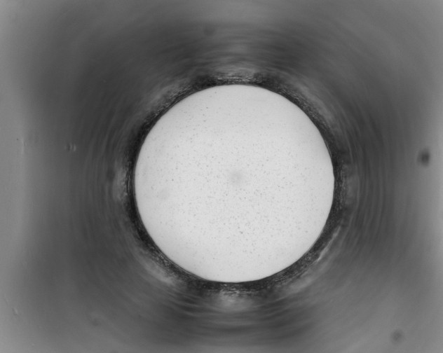 X0000100980641200807221234