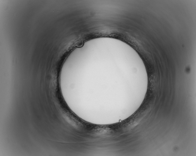 X0000100980642200807221234