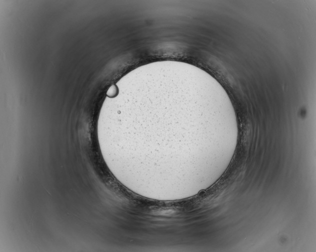 X0000100980643200807221234