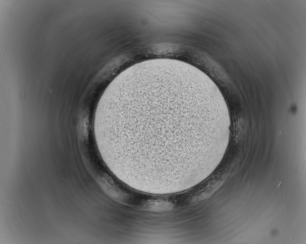 X0000100980644200807221234