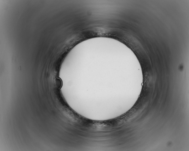 X0000100980650200807221234