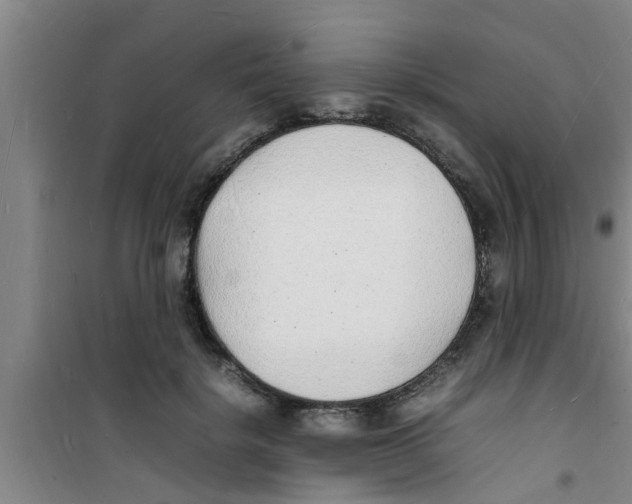 X0000100980652200807221234