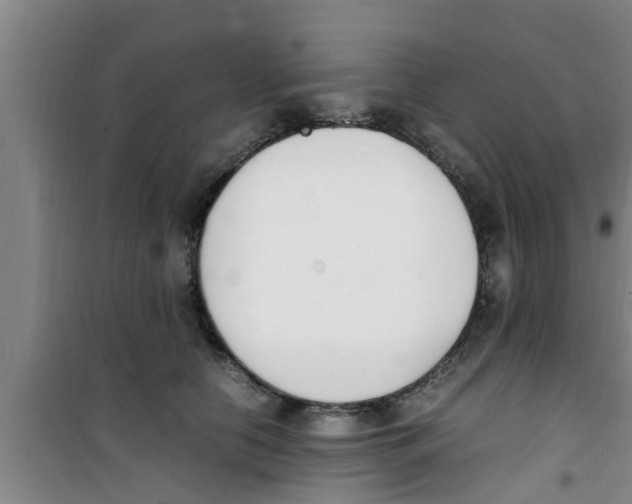 X0000100980658200807221234