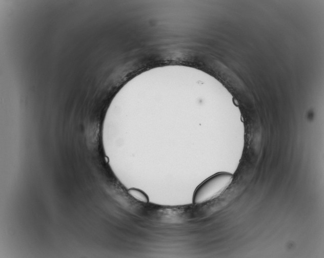 X0000100980660200807221234