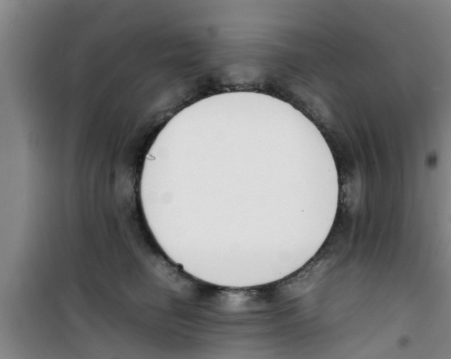 X0000100980662200807221234