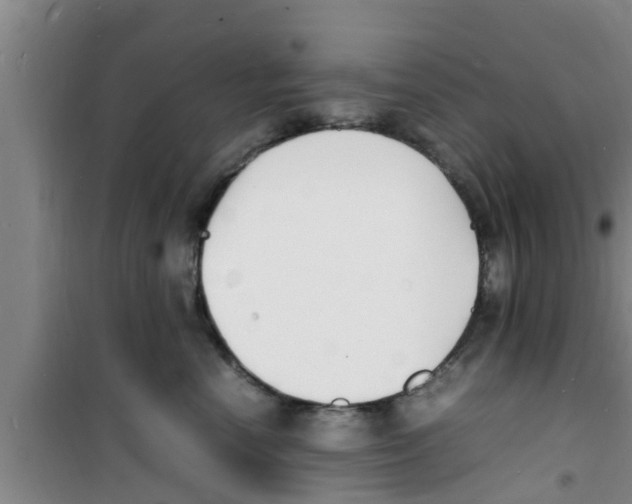 X0000100980666200807221235