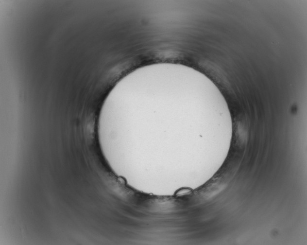 X0000100980668200807221235