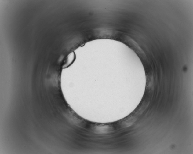 X0000100980669200807221235