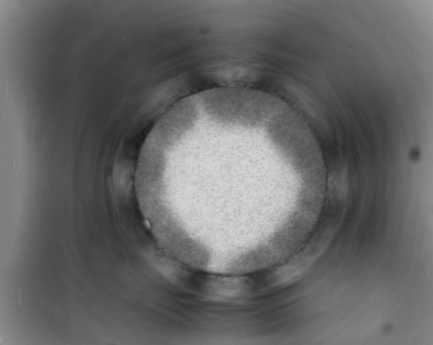 X0000100980671200807221235